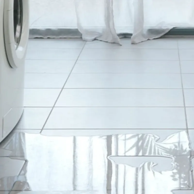 Appliance Leak Cleanup in West Columbia, SC