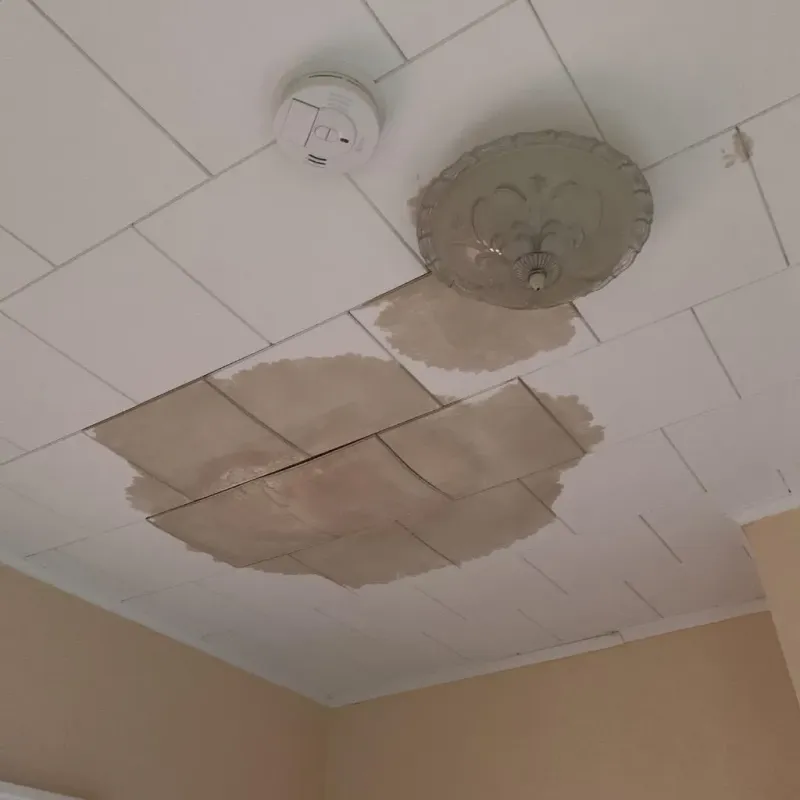 Ceiling Water Damage Repair in West Columbia, SC