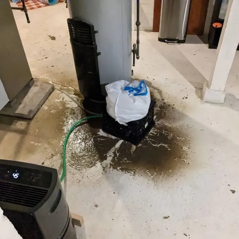 Sewage Backup Cleanup Service in West Columbia, SC